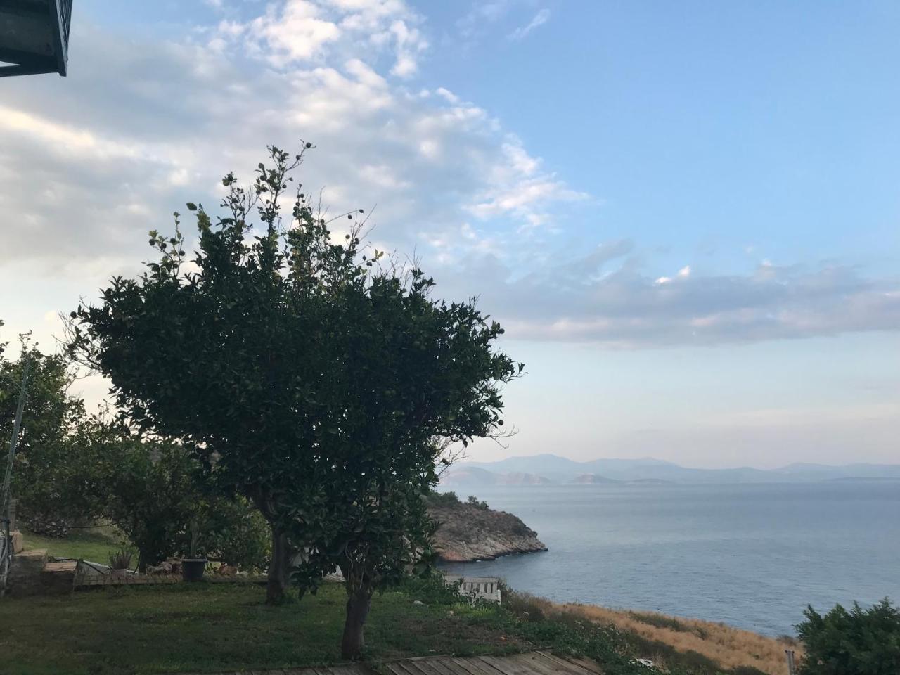 Villa Castle Sea View Parálion Ástros Eksteriør bilde